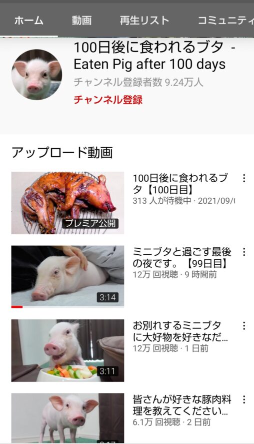 【フィクション？】100日後に食われる豚、逝く