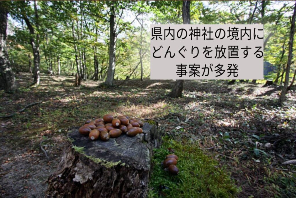 【恐怖】秋田県内の神社の境内にどんぐり放置する事案が多発